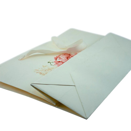 Download Printed White Craft Paper Bag with Ribbon Handle, China paper bag factory, shopping bag