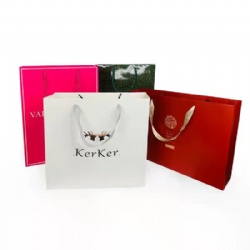 Printing Factory Wholesale Luxury Branded Paper Bags