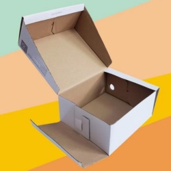 China OEM ODM Corrugated Paper Boxes Printing