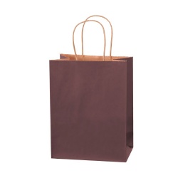 Color Tinted Shopping Bags