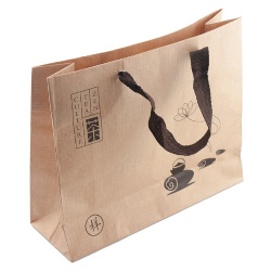 Reusable and Recyclable Paper Bag